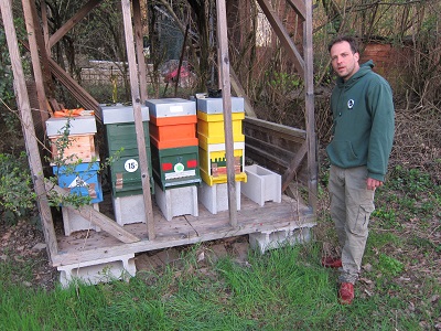 Destination Wiener Bisamberger Honig