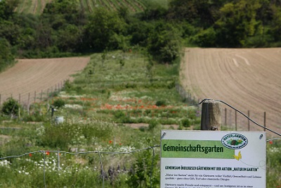 Gemeinschaftsgarten Ulrichskirchen